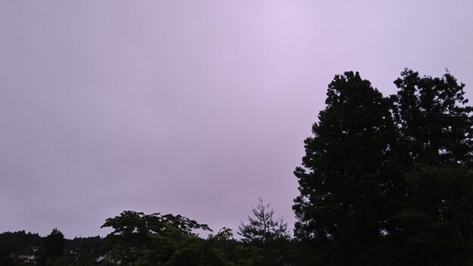 水差しの空