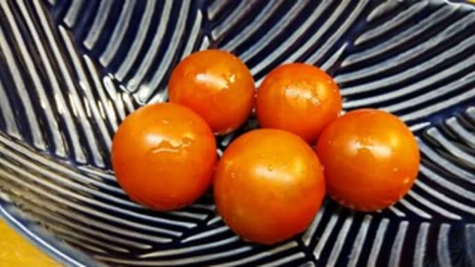 おめでとうございます!