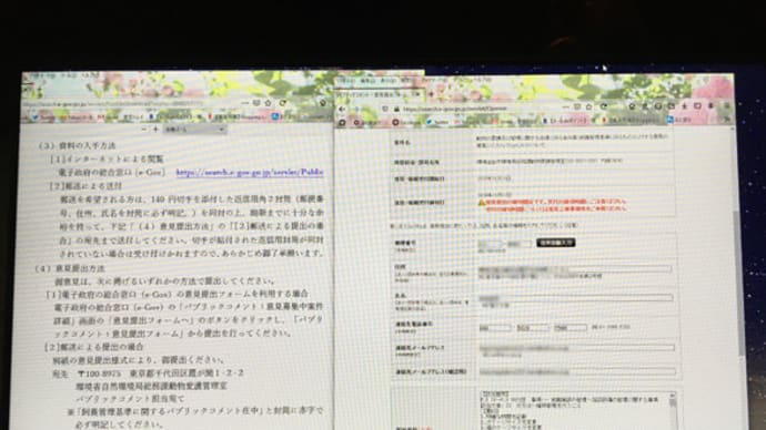数値規制パブリックコメント