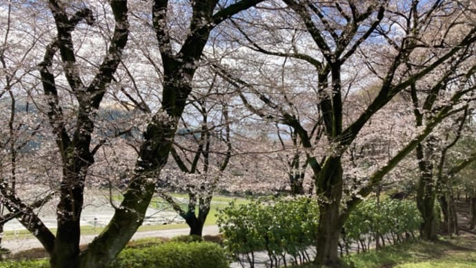 木曜礼拝&インターナショナル礼拝 💝 2024年4月4日〜7日