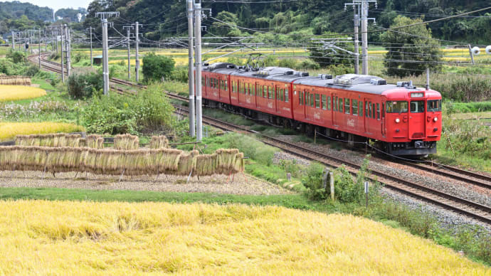 しなの鉄道 コカ・コーララッピングを追いかけて・・・ ☆あと数日でコカ・コーララッピング終了 (撮影日:9月29日)