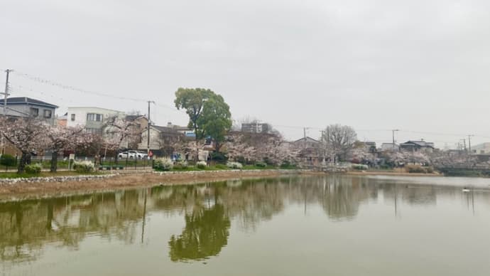 万代池公園