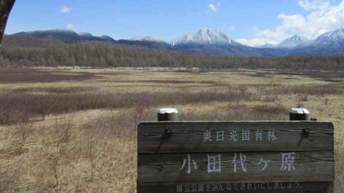 奥日光は晴天なり