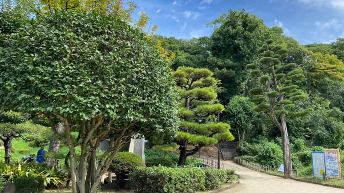 湯築城跡の湯築公園
