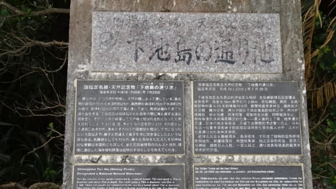 下地の通り池