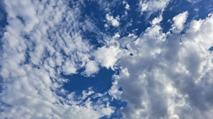 きのうの雨はどこへいったの?きょうは休み、青空が広がり、いい気分です!