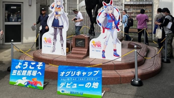 お宝ゲット ウマ娘