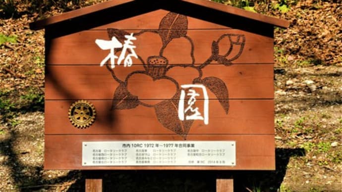 東山植物園を少しお邪魔した画像です😀😏