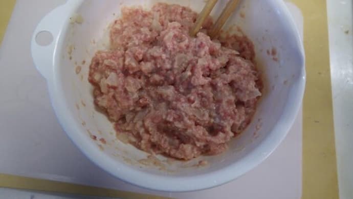 の ようなもの