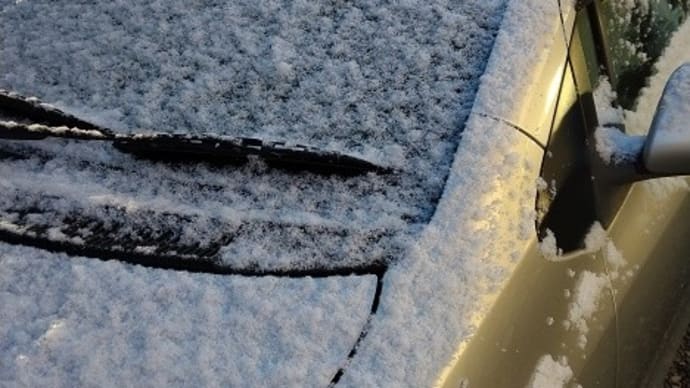 今朝起きて、外を見たら、雪が積もっていました~~!