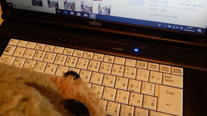 クリン家の事件簿・1~売りに出されたサンエイ族