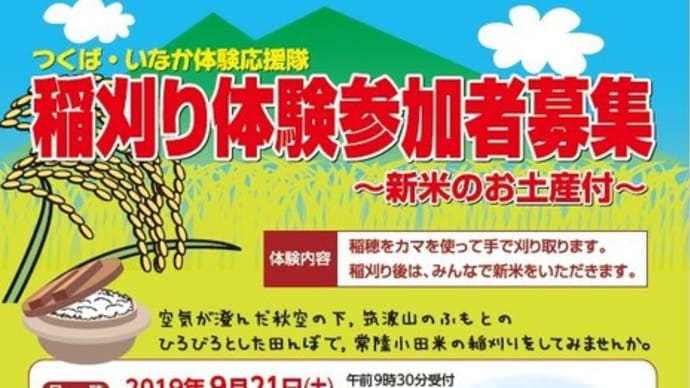 稲刈り体験2019募集中です。