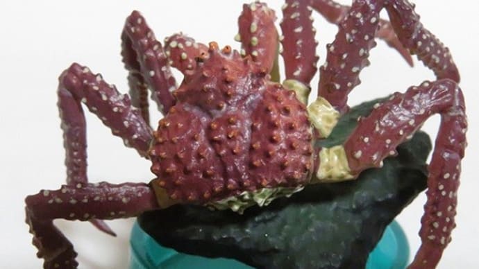 北海道大物産展　北海のタラバガニ