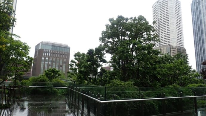美術館巡り#26 中之島美術館