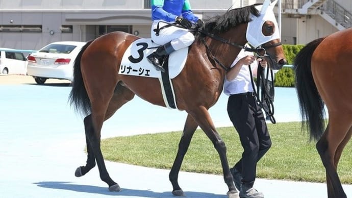 【リナーシェ】馬体重の増減と調教強度のバランス