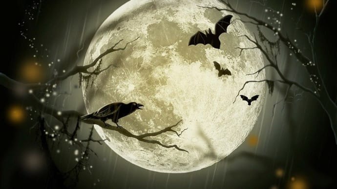 ハロウィンの夜に㊗YT動画100本目! ライブの雰囲気を! Acoustic Sounds Collection