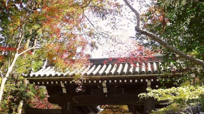京都紅葉:赤山禅院~鷺森神社!