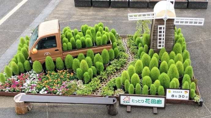 回廊ウオークの1年間の総括&ご褒美の豪華ディナー(笑)
