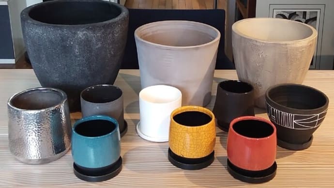 鉢の入荷