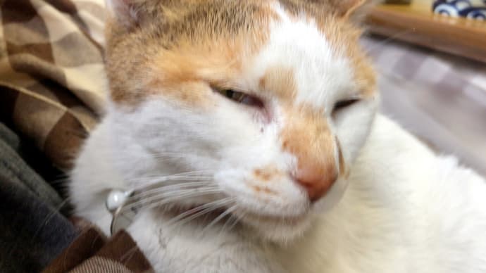もう少し。