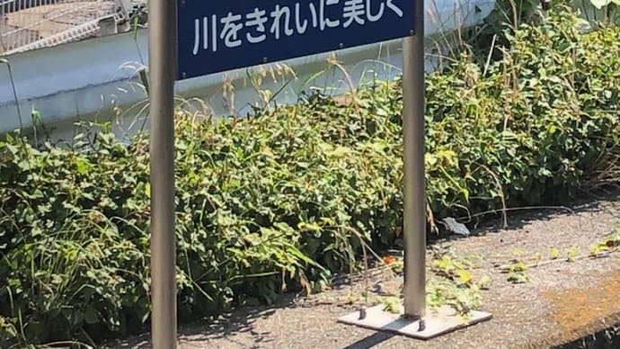 渋谷川沿いの橋を巡る④