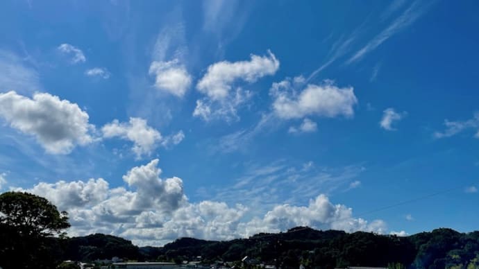 文章のもつ質量とはなにか(5)