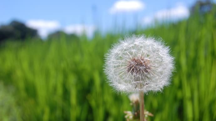 10連休中にやりたいこと、それはLinux
