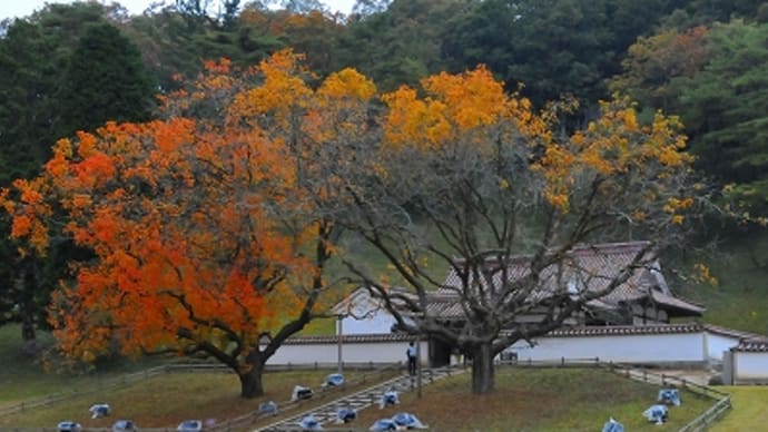 岡山へ行ってました。