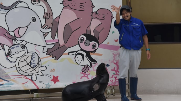 ショーもあります ライブプール