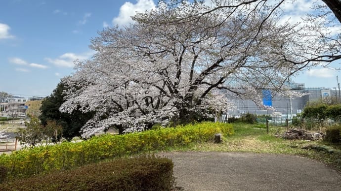 それぞれの役割