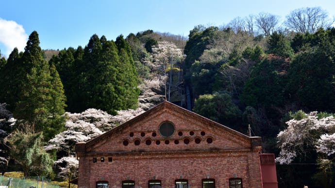 近所の桜風景　２　大戸川発電所