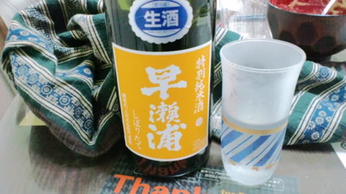 福井県美浜の特別純米 早瀬浦 生酒 しぼりたて  美味い！
