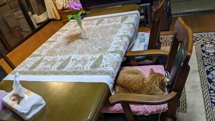 血糖値11まで下がる