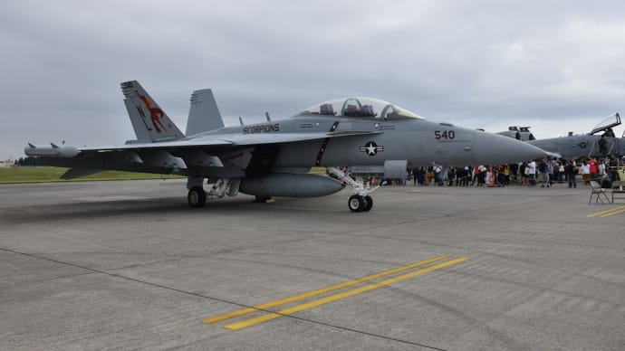 2019年9月14日 東京都福生市 横田基地日米友好祭(14)電子戦機EA-18G:グラウラー
