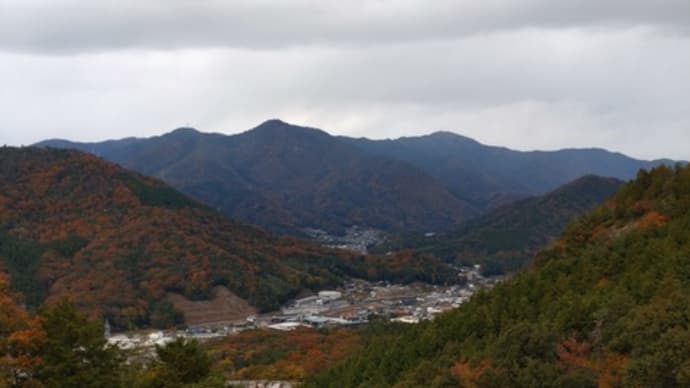 紅葉を見ながらウォーキングして来ました。