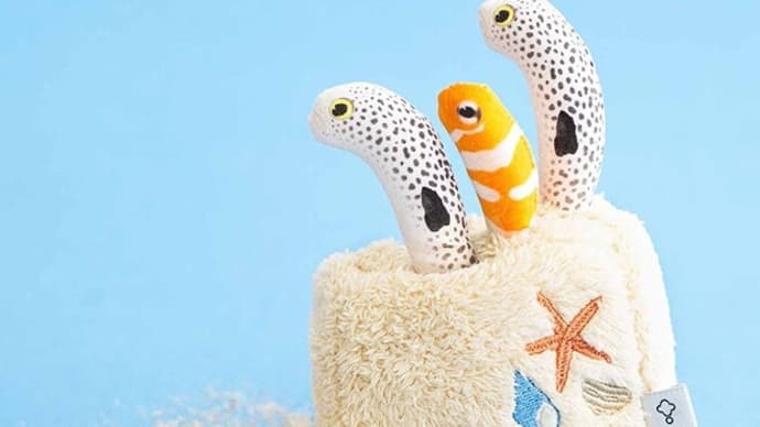 お魚も🐟️寂しいのかな💧