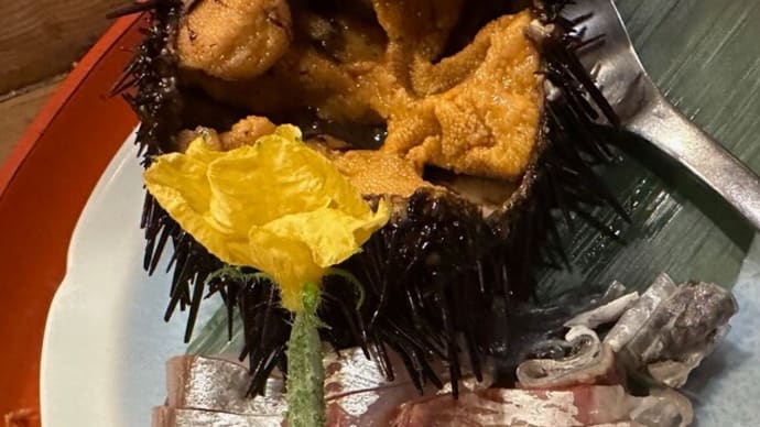 1795　　　　　今月の池袋会は紫ウニ