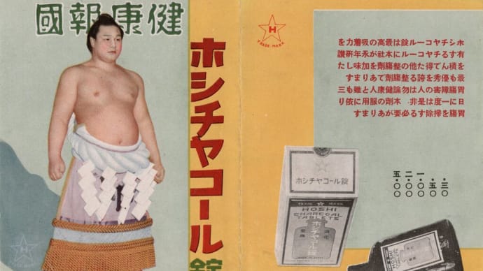 ホシチャコール錠 宣伝パンフレット