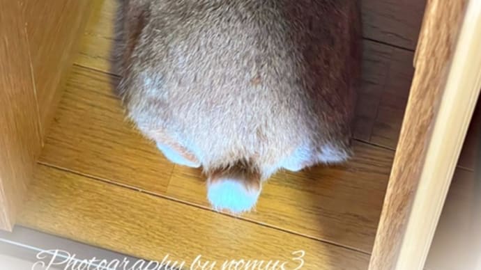 ピーター
