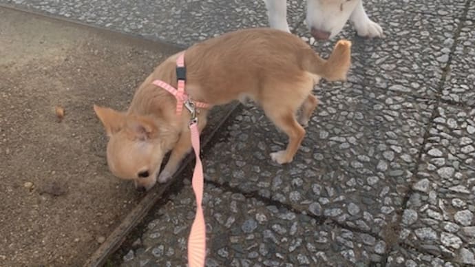 仲良くできました(*^。^*)