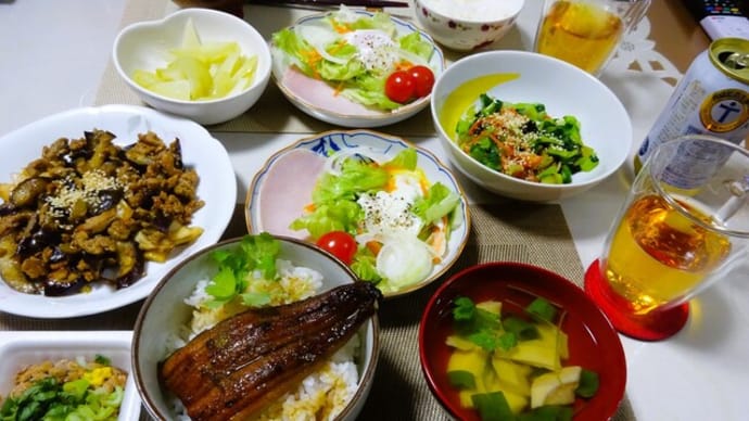 印象採得!?とうがらしブーケ💐ハヤトウリと ハーフうな丼で晩ご飯