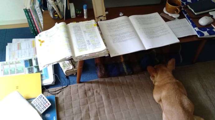 GWの相棒。