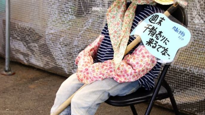案内のおばさん