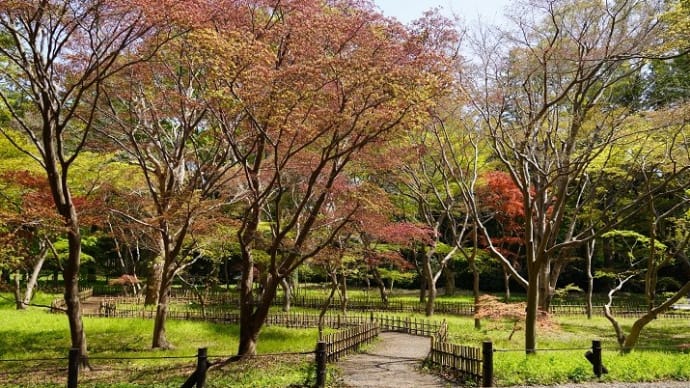 ブログの投稿文、ここ１８年間の中、私が綴れなかったことは・・。