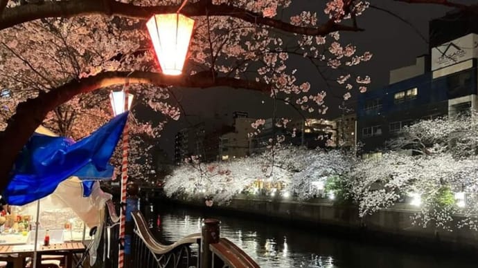 2023/03/31&08/20インターコンチカリュウ→ 第一亭→ 大岡川桜祭り