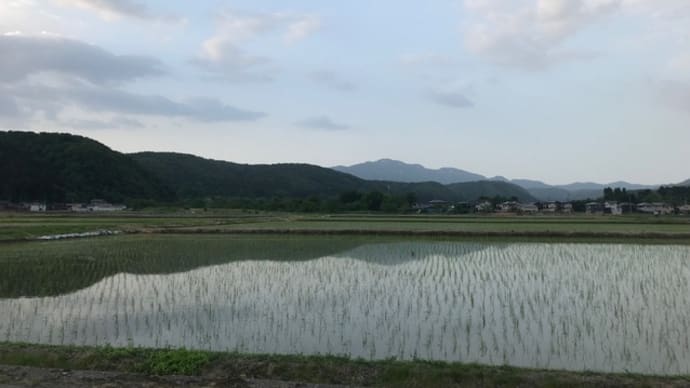 はなまる