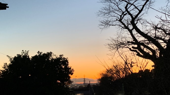 今年は