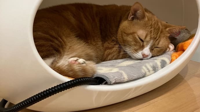 『ねころん』を復活させよう