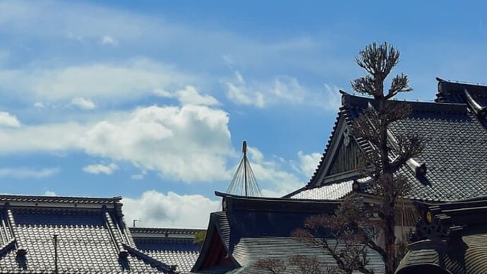 あわただしい日々