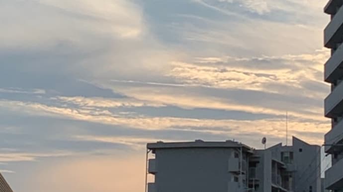 8月スタート
